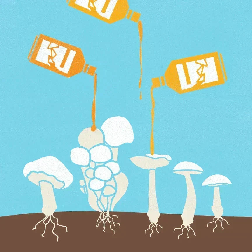Illustrated mushrooms being drizzled with vinegar from three bottles over soil on blue background
